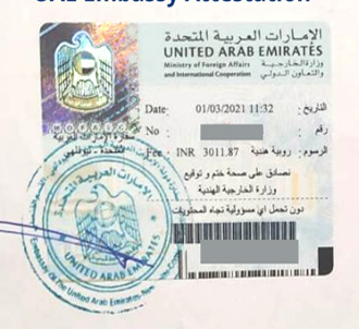 DCA Services Professional Team